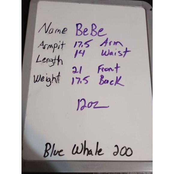 BeBe Jacket Ladies Small Chambray Light Weight - Picture 6 of 6